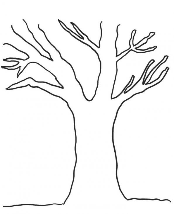 Skill Tree Trunk Coloring Page For Pages Www Sporturka Tree 595x730 Skill Tree Trunk Coloring Page For Pages Www Sporturka Tree