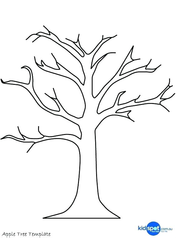Tree Trunk Coloring Page Tree Trunk Coloring Page Bare Tree 564x760 Tree Trunk Coloring Page Tree Trunk Coloring Page Bare Tree
