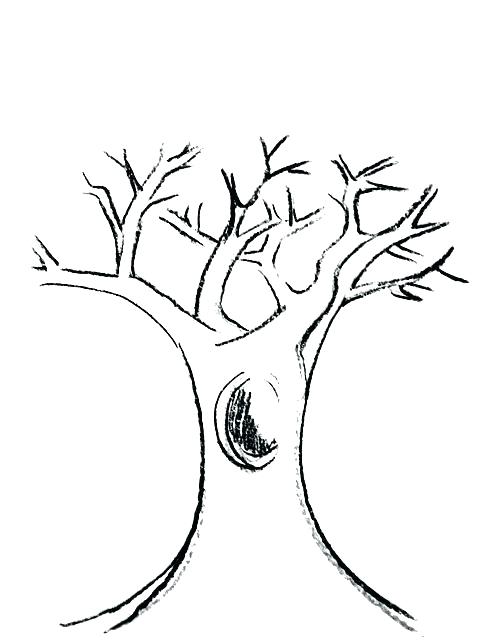 Tree Trunk Coloring Page 494x640 Tree Trunk Coloring Page