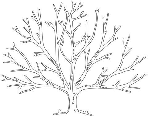 Bare Tree Coloring Page 26 Tree Trunk Coloring Pages Tree Trunk 480x375 Bare Tree Coloring Page 26 Tree Trunk Coloring Pages Tree Trunk