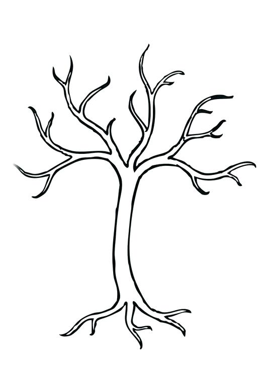 Coloring Page Tree Img 28966 Coloring Page Tree Coloring Page Tree 531x750 Coloring Page Tree Img 28966 Coloring Page Tree Coloring Page Tree