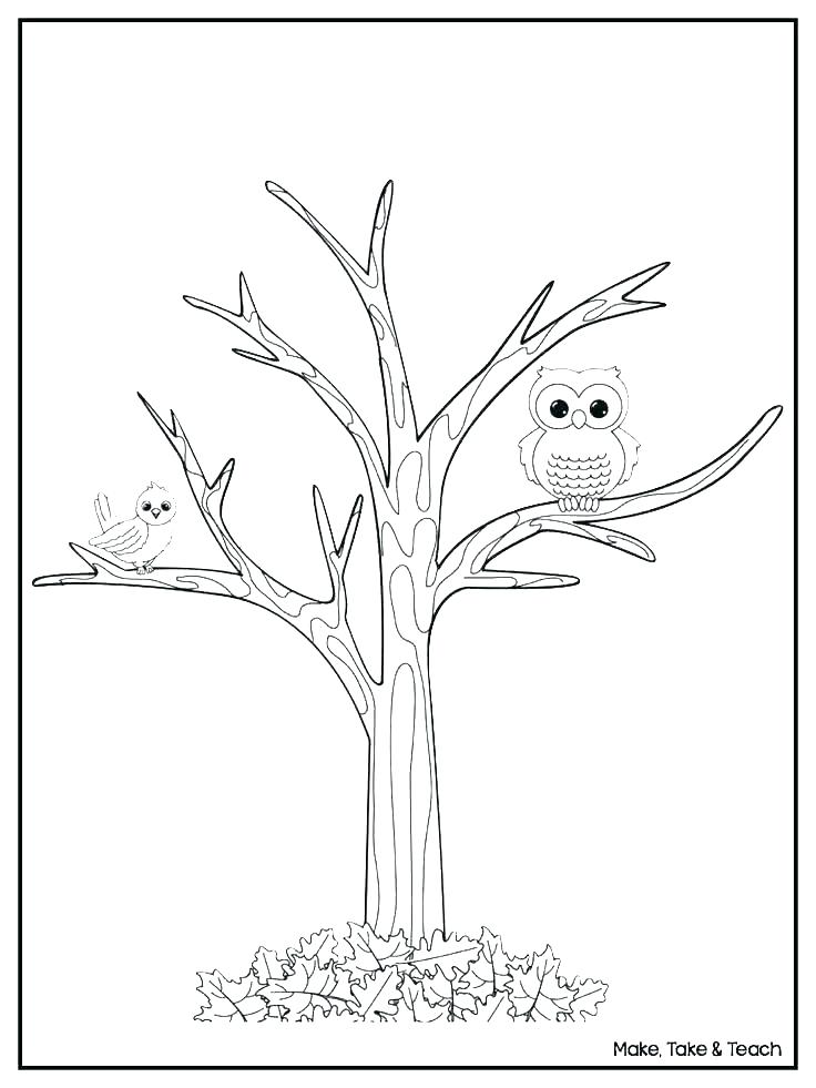 736x981 Trees Coloring Pages Fall Tree Coloring Pages Image Apple Tree