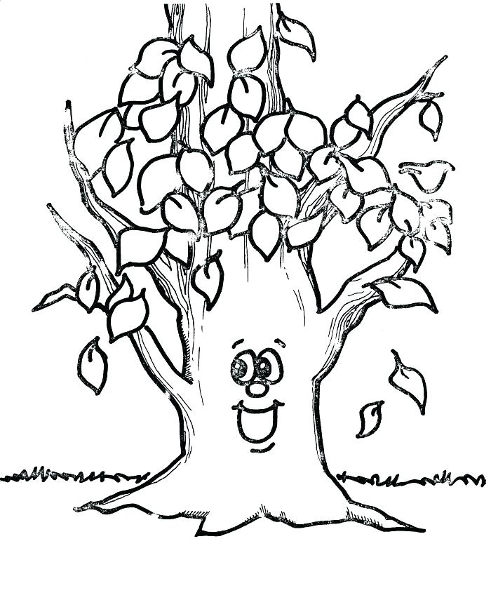 700x855 Bare Tree Coloring Page Coloring Pages Of Trees With Leaves Bare