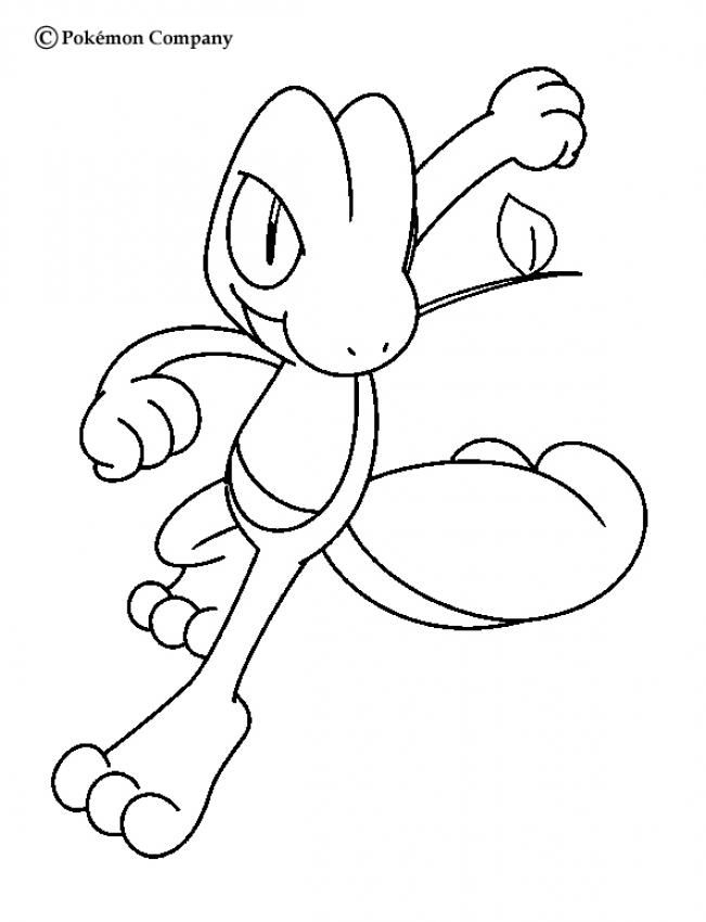 Treecko Pokemon Coloring Page. More Grass Pokemon Coloring Sheets 651x850 Treecko Pokemon Coloring Page. More Grass Pokemon Coloring Sheets