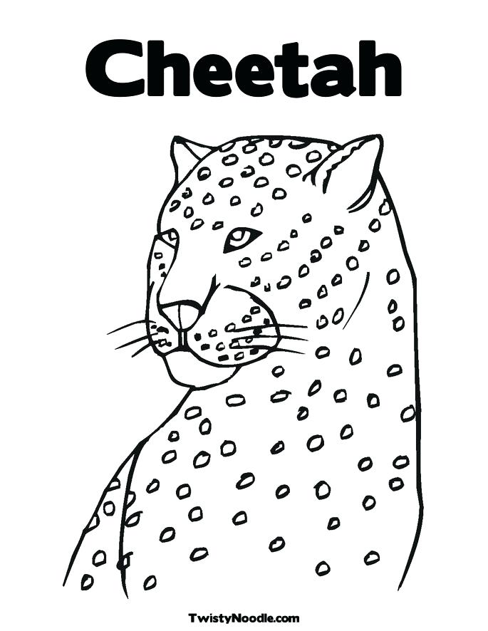 685x886 Cheetah Print Coloring Pages 9 Cheetah Coloring Pages Free