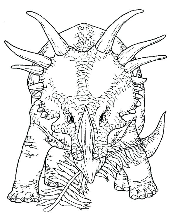 Triceratops Coloring Page Coloring Page Preview Triceratops 600x734 Triceratops Coloring Page Coloring Page Preview Triceratops