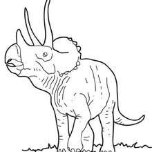 Triceratops Coloring Pages 220x220 Triceratops Coloring Pages