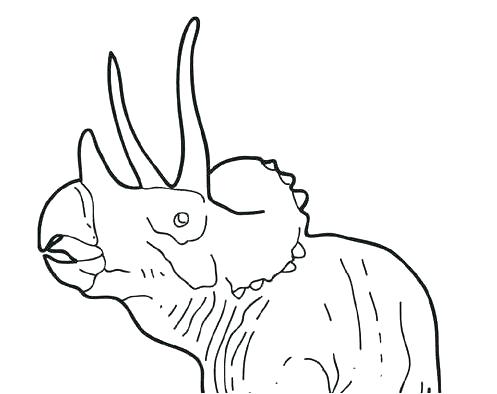 Dinosaur Big Triceratops Coloring Page Cute Little Dinosaur Big 497x394 Dinosaur Big Triceratops Coloring Page Cute Little Dinosaur Big