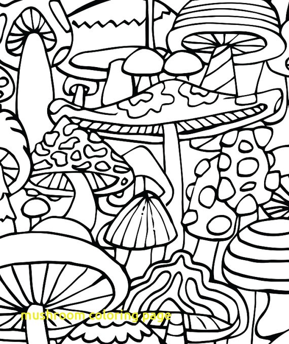 570x677 Mushroom Coloring Page Mushroom Coloring Page With Trippy