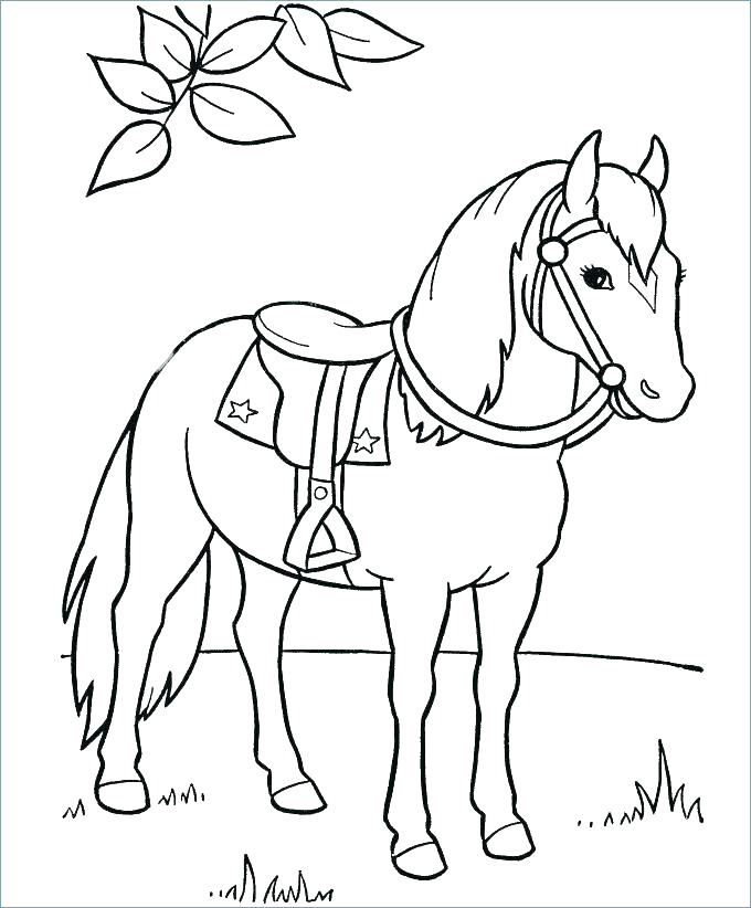 Coloring Page Of Horse Horse Horses Coloring Page Horses Coloring 680x822 Coloring Page Of Horse Horse Horses Coloring Page Horses Coloring