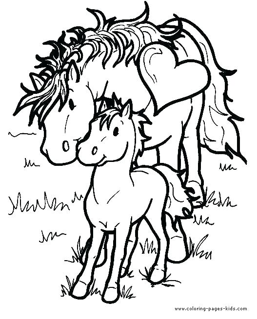 Coloring Page Of Horse Horse Coloring Pages Animals Horses Horse 527x656 Coloring Page Of Horse Horse Coloring Pages Animals Horses Horse