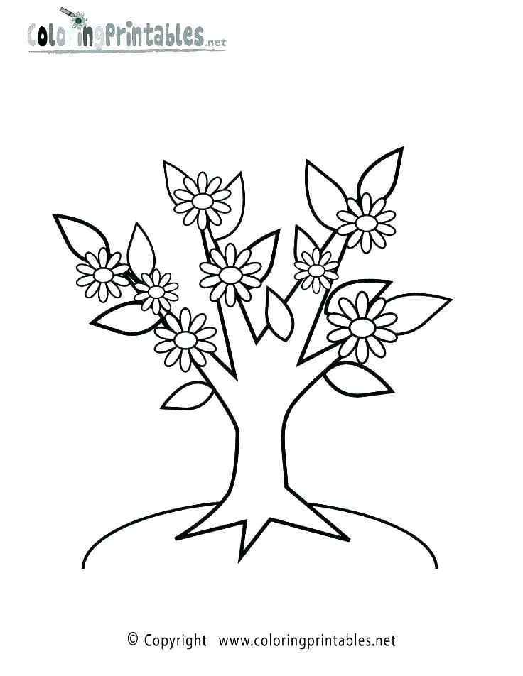 Animals Coloring Pages Tropical Coloring Pages Coloring Tropical 736x952 Animals Coloring Pages Tropical Coloring Pages Coloring Tropical