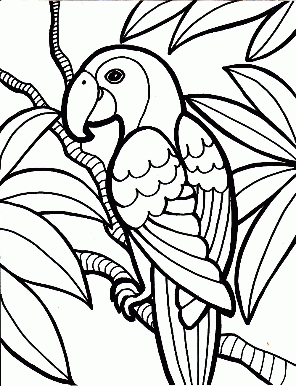 1000x1301 Birds Coloring Pages