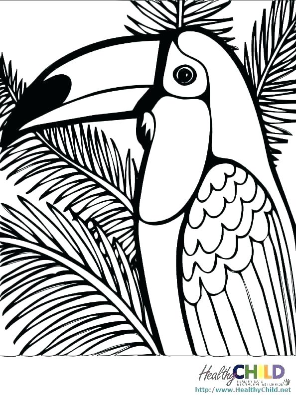 Rainforest Animals Coloring Pages Coloring Pages Printable 594x793 Rainforest Animals Coloring Pages Coloring Pages Printable