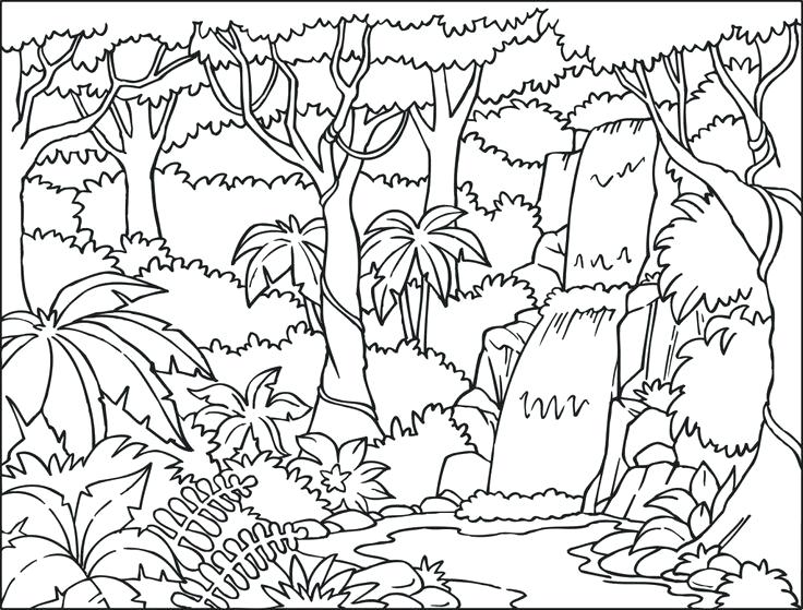And Tropical Coloring Pages Color Jungle Coloring Book Wallpaper 736x559 And Tropical Coloring Pages Color Jungle Coloring Book Wallpaper