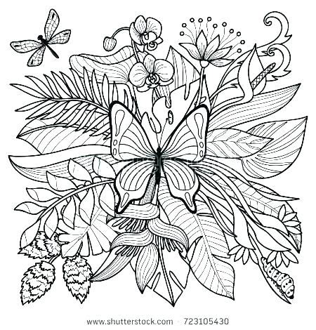 Rainforest Plants Colouring Pages Tropical Coloring Pages Tropical 450x470 Rainforest Plants Colouring Pages Tropical Coloring Pages Tropical