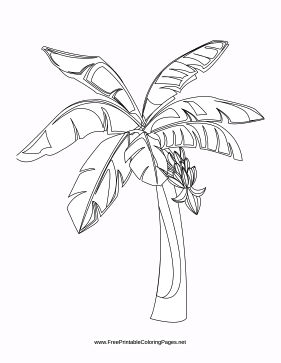 Coloring Page 281x363 Coloring Page