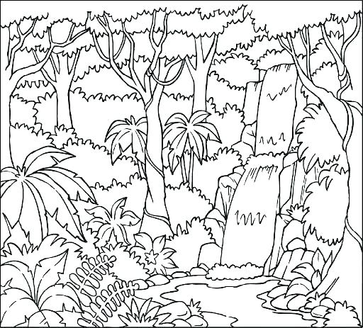 Tropical Rainforest Coloring Pages Coloring Pages To Print 512x463 Tropical Rainforest Coloring Pages Coloring Pages To Print