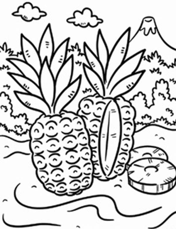 Wild Pineapple In A Tropical Island Coloring Page 600x777 Wild Pineapple In A Tropical Island Coloring Page