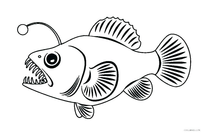 Tropical Fish Coloring Pages Cliptext.co 800x524 Tropical Fish Coloring Pages Cliptext.co