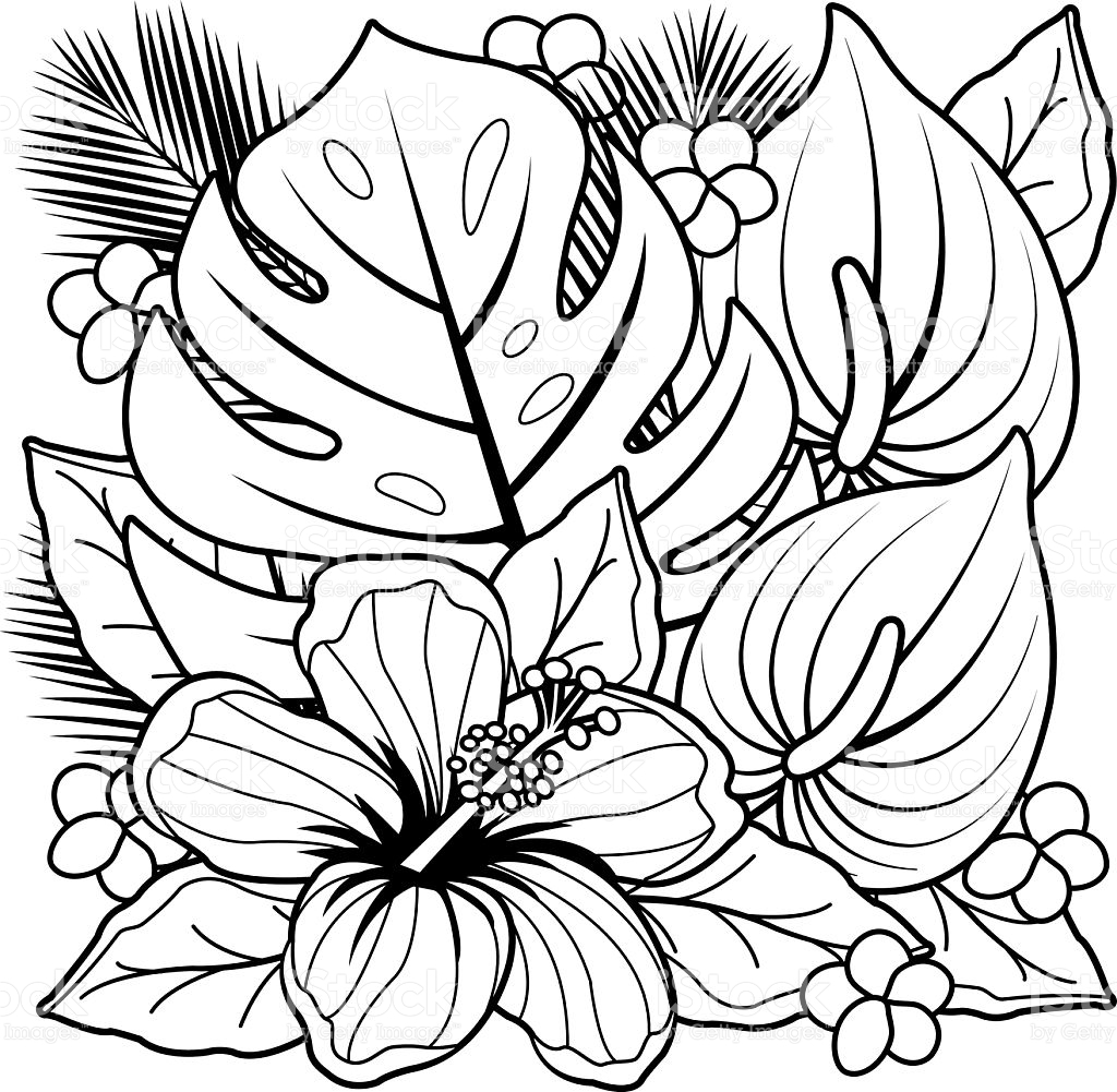 Tropical Flower Coloring Pages 3938 Tropical Coloring Pages 1024x1001 Tropical Flower Coloring Pages 3938 Tropical Coloring Pages