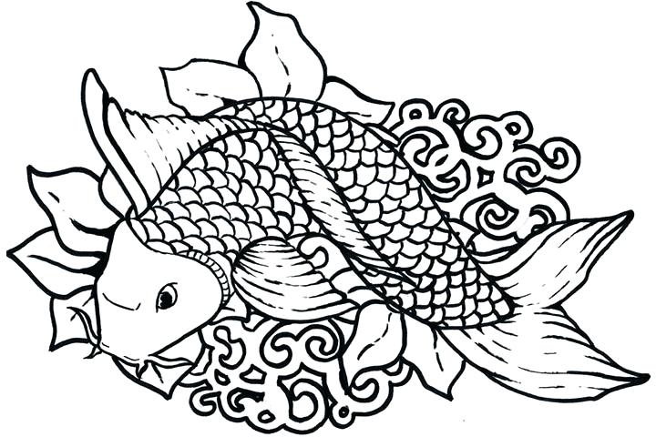 720x480 Tropical Coloring Pages Tropical Fish Coloring Page Printable