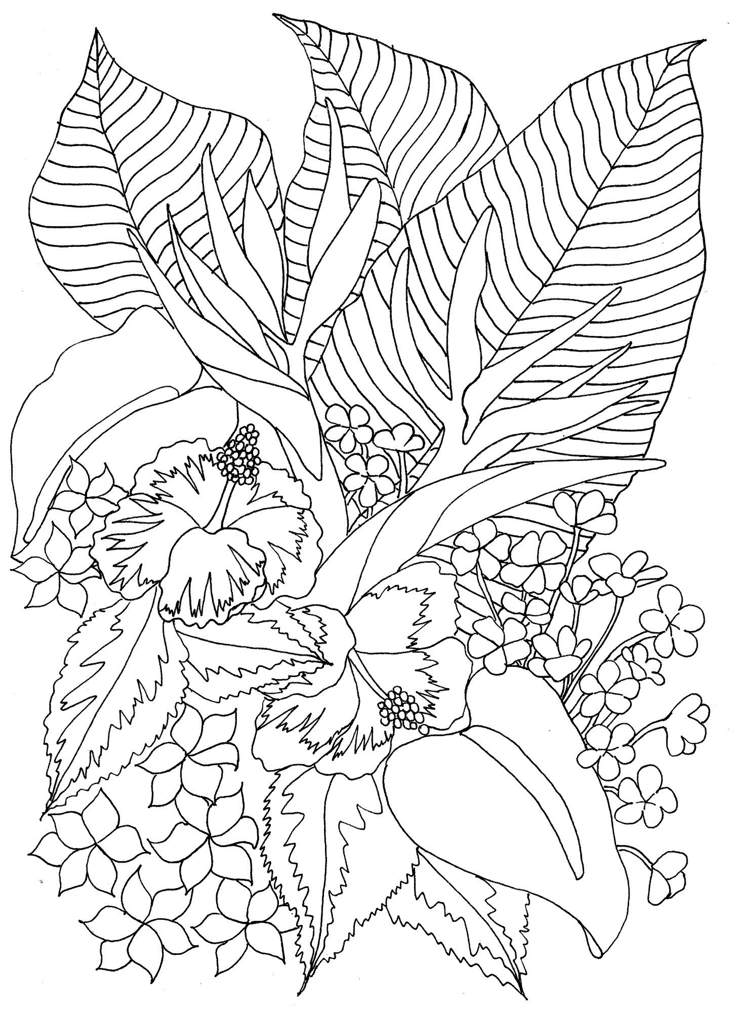 1454x2000 Tropical Flowers Coloring Pages Coloring Pages
