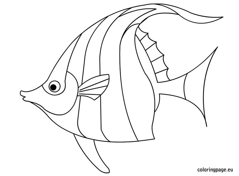 804x595 Related Coloring Pagesgoldfishfish Coloring Pagetropical