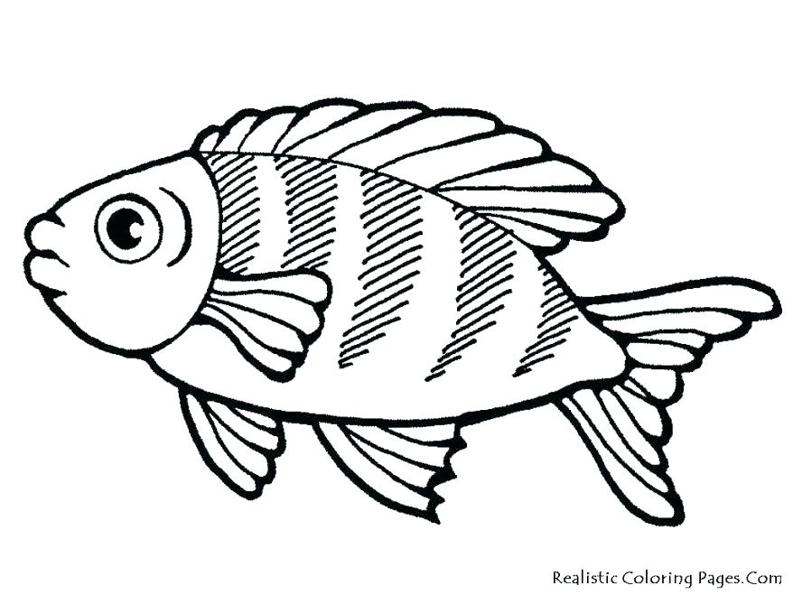 878x659 Tropical Fish Coloring Pages Tropical Fish Coloring Pages Coloring