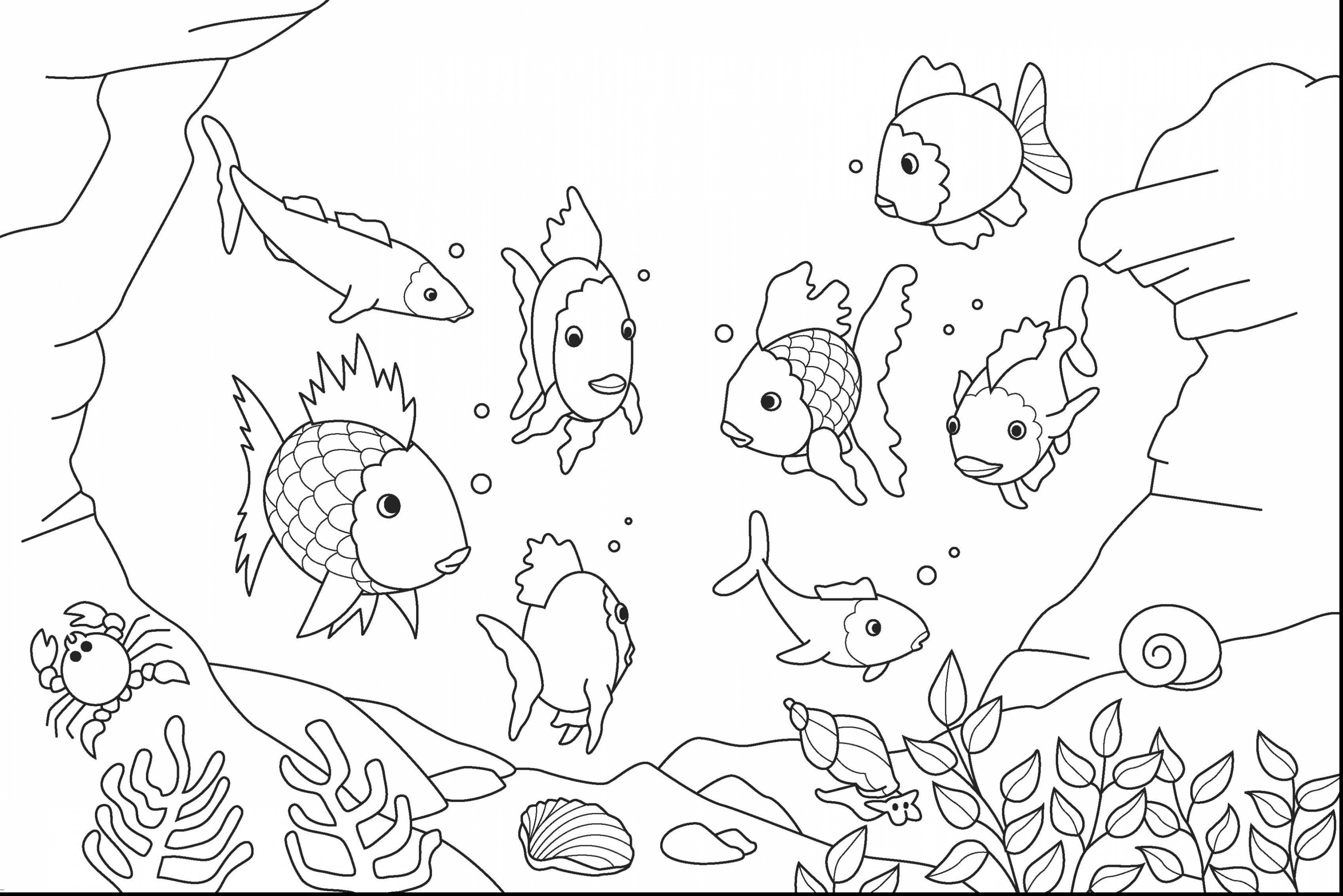 3724x2486 Under The Sea Coloring Pages