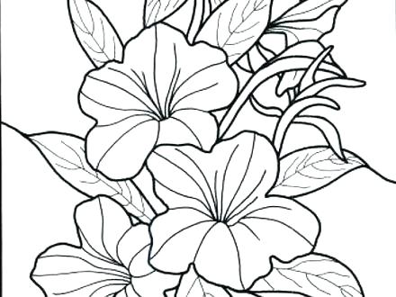 440x330 Rainforest Flowers Coloring Pages Flower Coloring Pages Flower