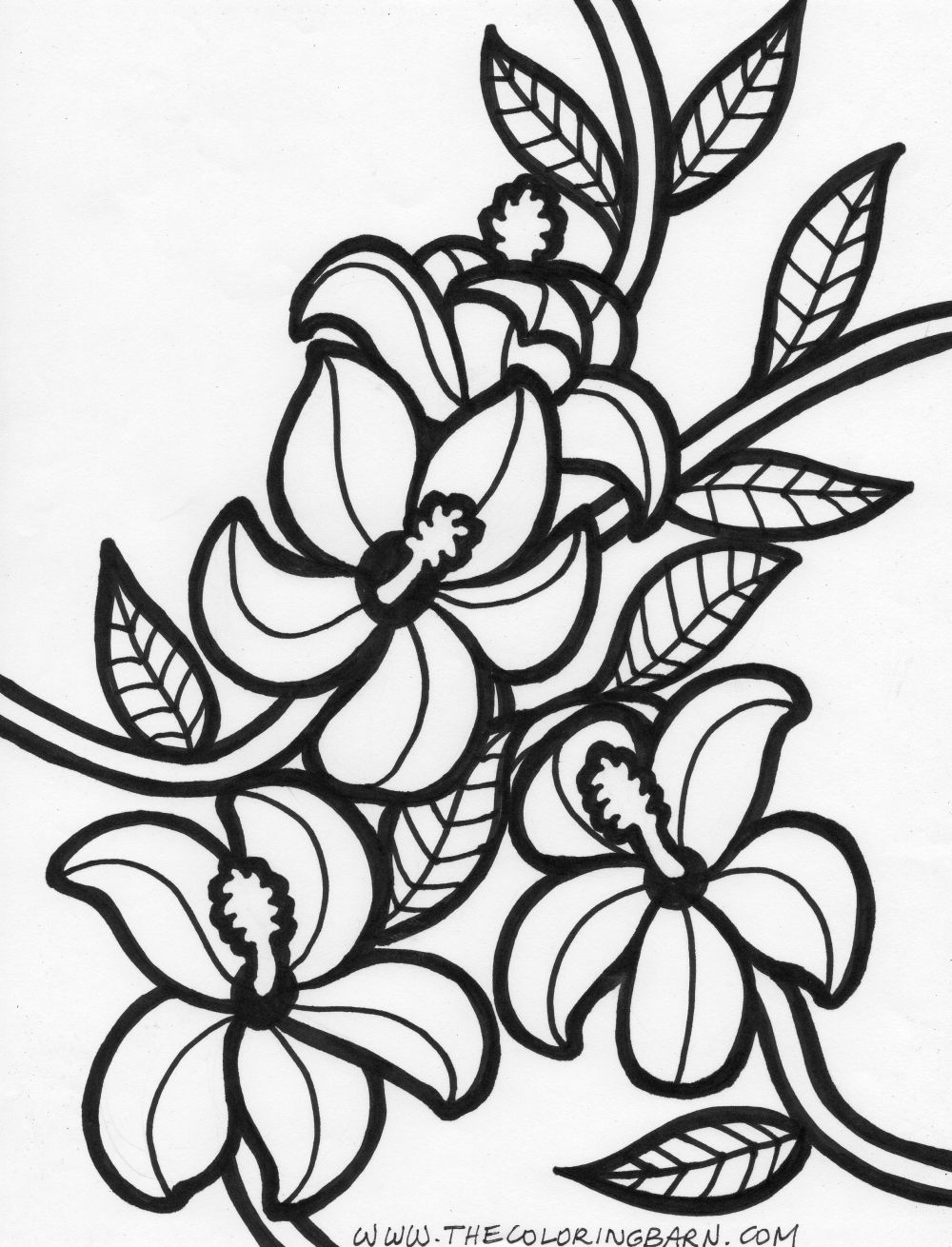 1000x1310 Hawaiian Flower Coloring Pages