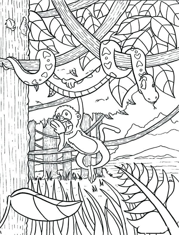 Coloring Pages Of Rainforest Animals Coloring Pages Packed 600x786 Coloring Pages Of Rainforest Animals Coloring Pages Packed