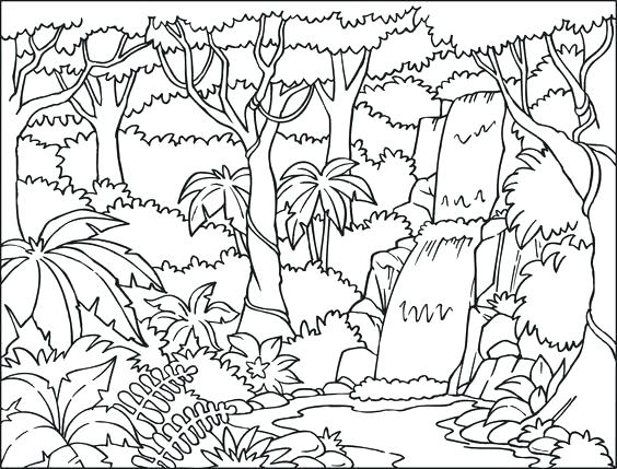 564x429 Rainforest Coloring Page Trees Logging Coloring Page Download