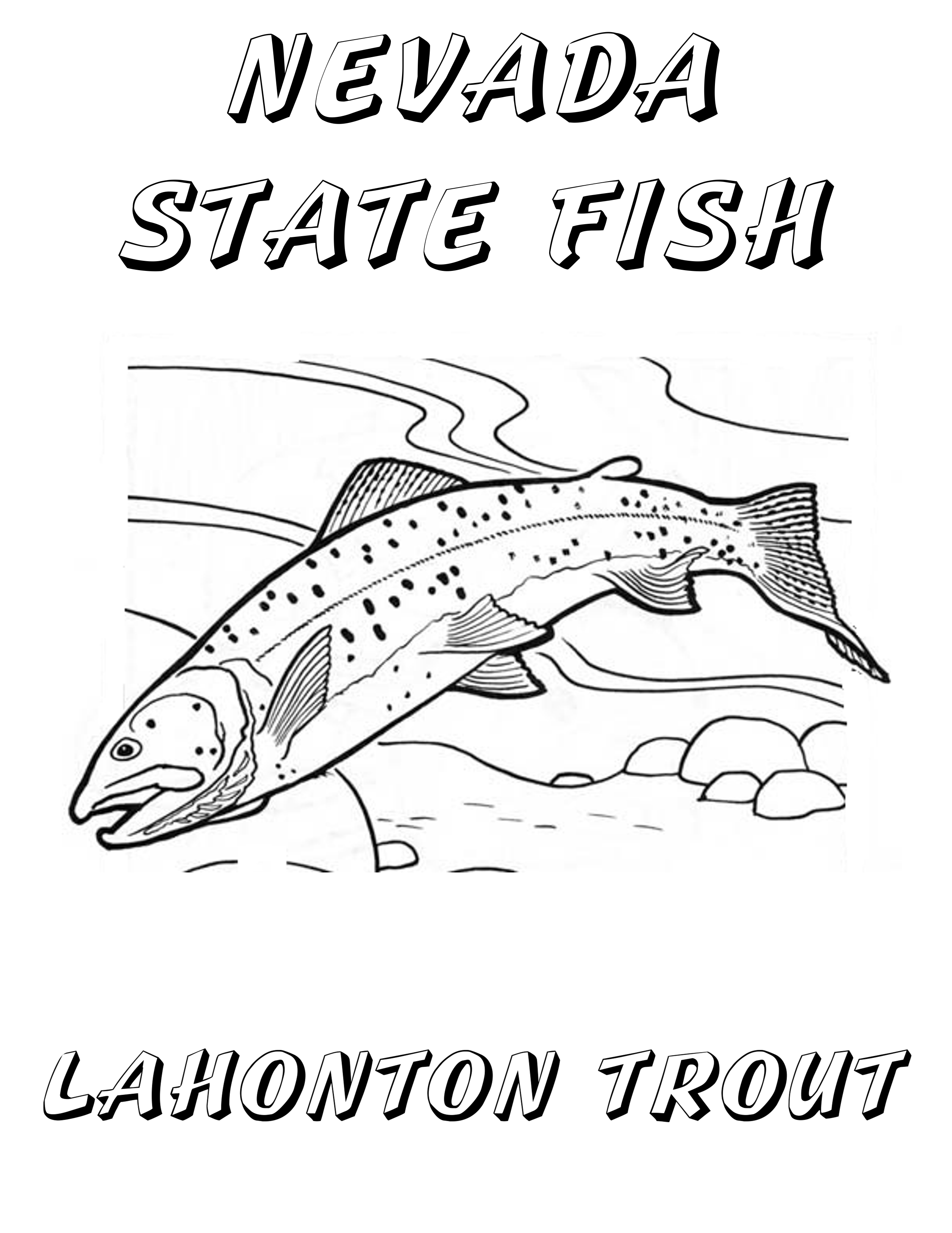 Trout Coloring Page 2550x3300 Trout Coloring Page