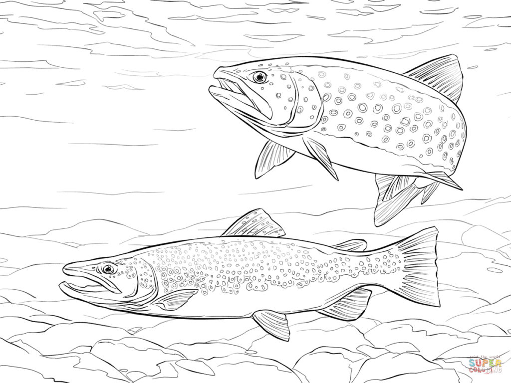 Trout Coloring Page Brown Free Printable Pages Click The Get Bubbles 1024x768 Trout Coloring Page Brown Free Printable Pages Click The Get Bubbles