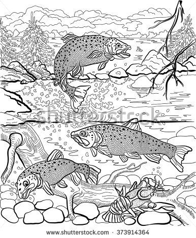 Underwater Life On The River. Trout And Cancer Swim Under Water 386x470 Underwater Life On The River. Trout And Cancer Swim Under Water