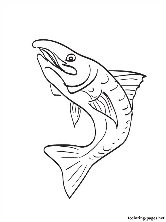 Coloring Page Trout Coloring Pages 560x750 Coloring Page Trout Coloring Pages