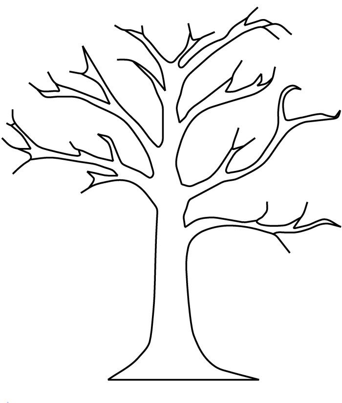 700x825 Free Tree Trunk Coloring Page Bare Without Leaves Pages