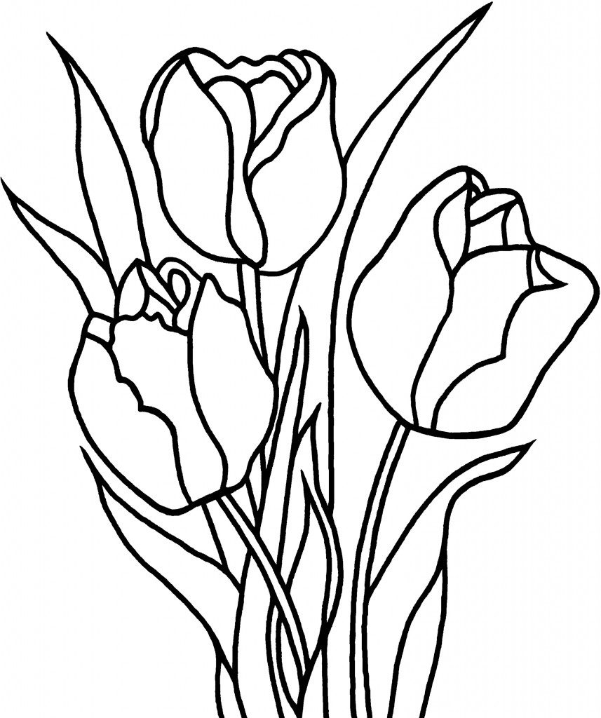 857x1024 Printable Tulip Coloring Pages For Kids Download