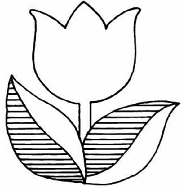 600x600 Tulip Coloring Pages Inspirational Tulip Coloring Book Clipart