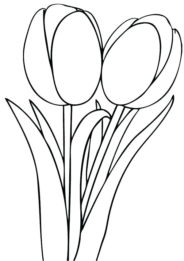 600x850 Tulips Coloring Pages Printable Tulip Page To Print Beautiful
