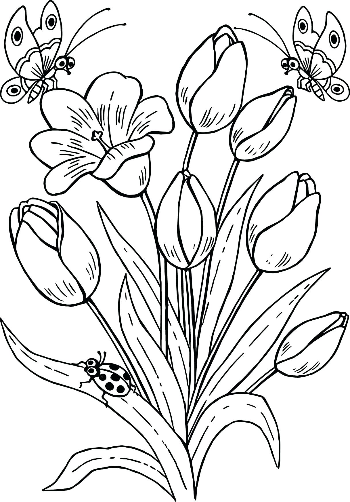 1217x1744 Coloring Pages Tulip Coloring Pages. Tulip Flower Coloring Pages