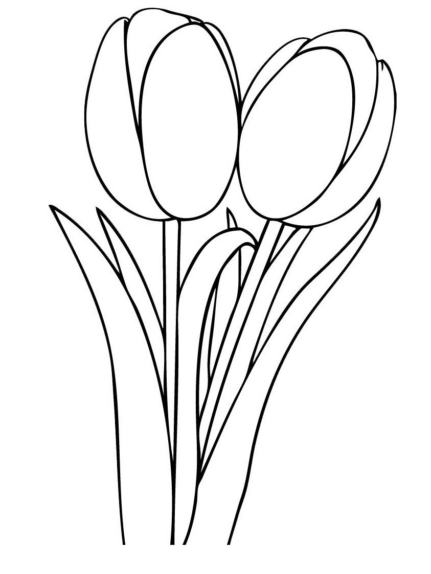 843x1124 Printable Tulip Coloring Pages Coloring Me