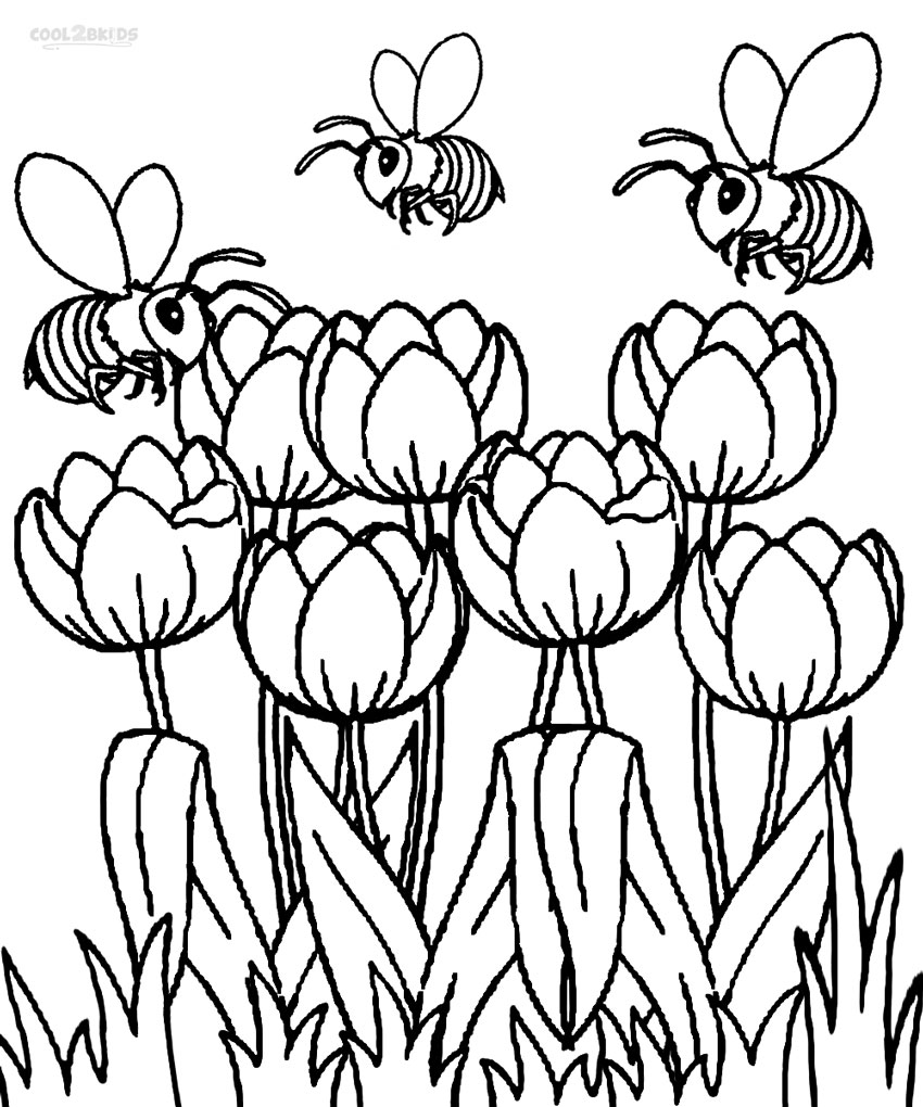 850x1020 Printable Tulip Coloring Pages For Kids Cool2bkids