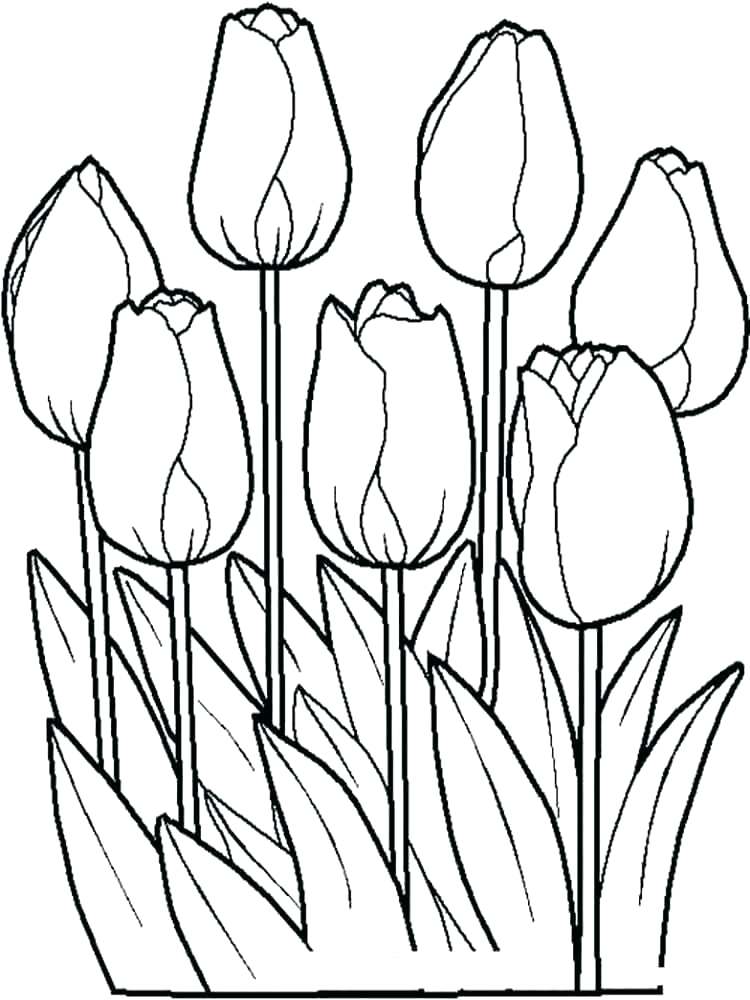 750x1000 Tulip Coloring Page Tulips Coloring Pages Tulip Flower Coloring