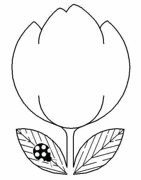 464x591 Tulip Coloring Pages Tulips Coloring Page Tulip Flower Colouring