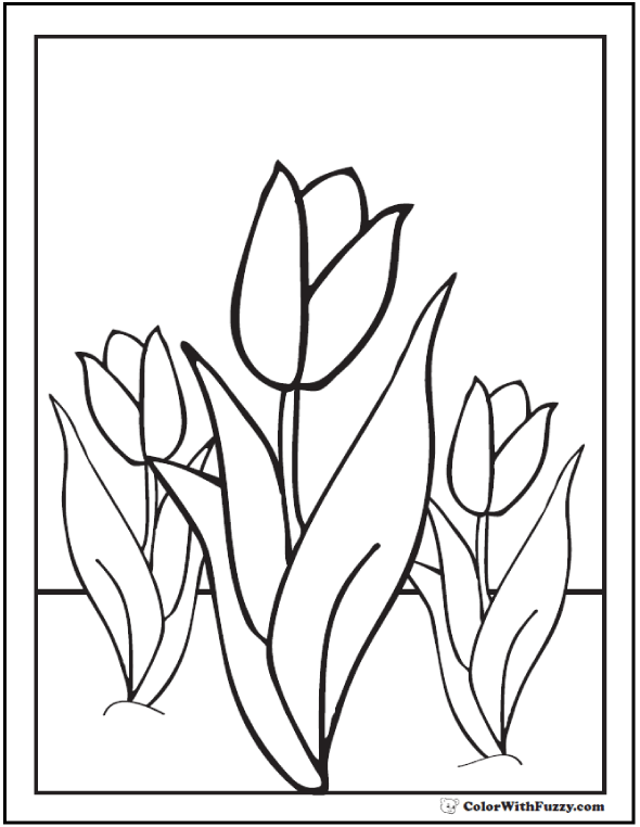 590x762 Tulip Flower Coloring Pages Pdf Printables