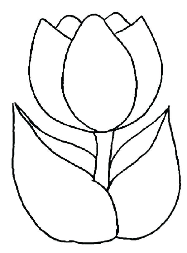 600x811 Tulips Coloring Pages Tulip Coloring Pictures Coloring Page Simple