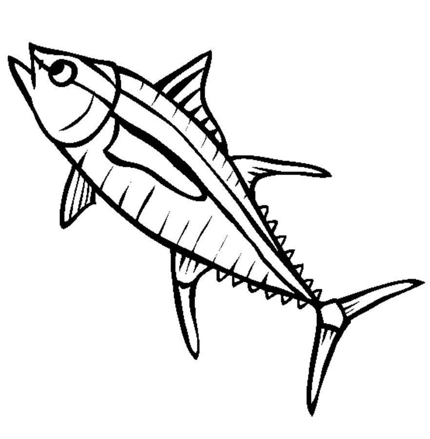 882x900 Coloring Pages Tuna, Printable For Kids Amp Adults, Free